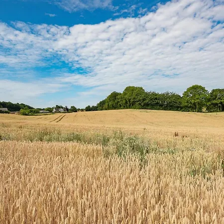 Edithe - 250m From The Sea By Interhome Prázdninový dům Augustenborg