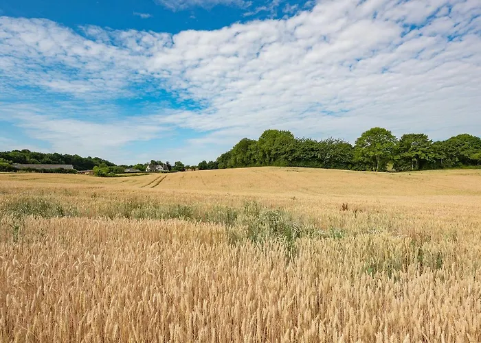 Edithe - 250m From The Sea By Interhome Casa de Férias Augustenborg